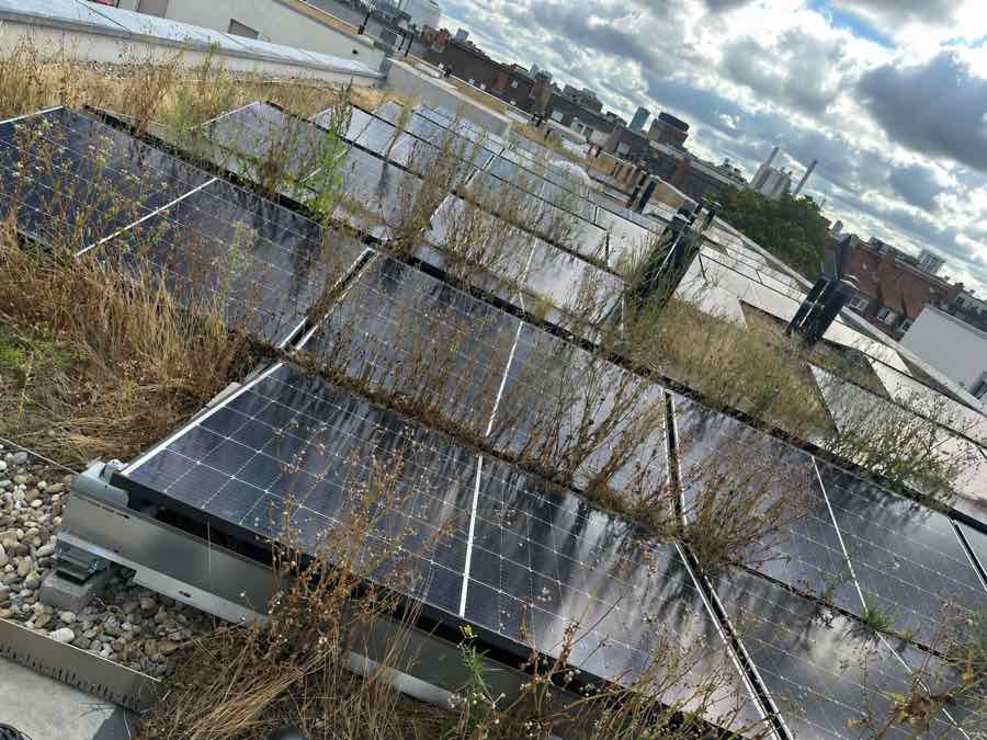 Flachdach mit Solarpanelen nach Reinigung und Pflege